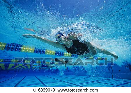 Female swimmers racing underwater in pool View Large Photo Image Stock Photo - Female swimmers racing underwater in pool. Fotosearch