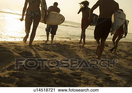Five surfers carrying surfboards on beach at sunset, back view View Large Photo Image Stock Image - Five surfers carrying surfboards on beach at sunset, back view. Fotosearch