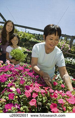 Stock Image - Grandmother selecting flowers in plant nursery with daughter and granddaughter. Fotosearch
