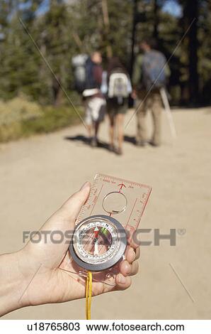 Hiker holding compass, outdoors View Large Photo Image Stock Image - Hiker holding compass, outdoors. Fotosearch