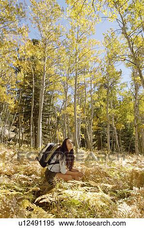 Hiker resting in woodland View Large Photo Image Stock Photography - Hiker resting in woodland. Fotosearch