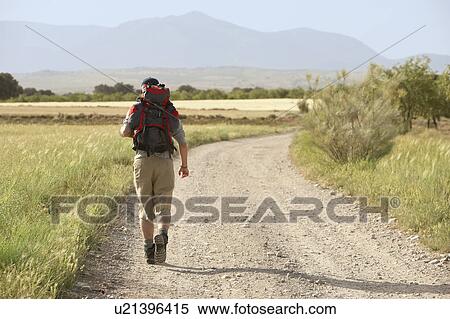 Stock Photography - Hiker walking on country road, back view. Fotosearch