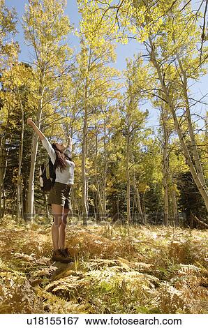 Stock Photo - Hiker with arms outstretched in woodland. Fotosearch