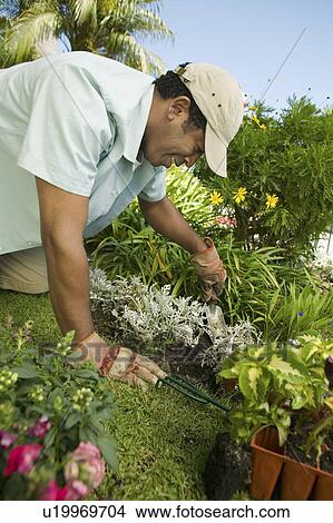 Picture - Man gardening. Fotosearch