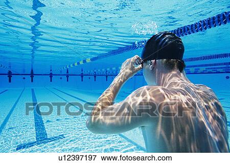 Man Swimming in Pool View Large Photo Image Stock Photo - Man Swimming in Pool. Fotosearch