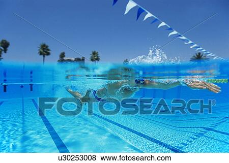 Man Swimming in Pool View Large Photo Image Stock Photo - Man Swimming in Pool. Fotosearch
