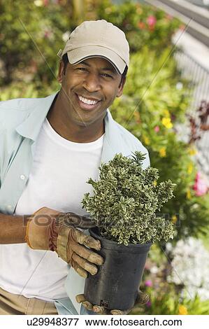 Stock Photo - Man wearing baseball cap gardening, (portrait). Fotosearch