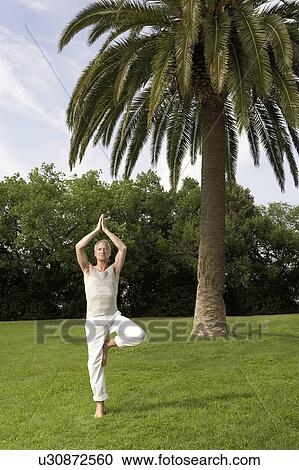 Stock Image - Middle-aged man doing tai chi in park. Fotosearch