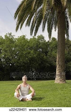 Middle-aged man sitting in park meditating View Large Photo Image Stock Image - Middle-aged man sitting in park meditating. Fotosearch
