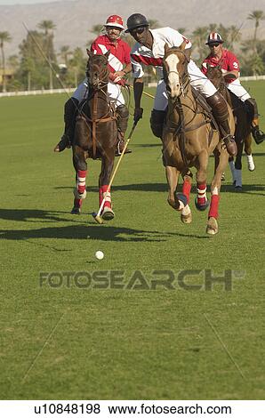 Stock Photo - Polo Player leaning down from polo pony, Advancing Ball on polo field during match. Fotosearch