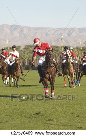 Stock Photo - Polo Player leaning down from polo pony, Advancing Ball on polo field during match. Fotosearch