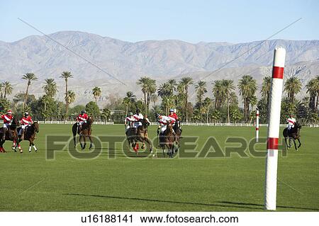 Stock Image - Polo players playing Match on polo field. Fotosearch