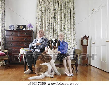 Senior couple posing in living room with dog View Large Photo Image Stock Photo - Senior couple posing in living room with dog. Fotosearch