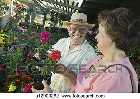 Stock Image - Senior Couple Shopping for flowers at plant nursery. Fotosearch