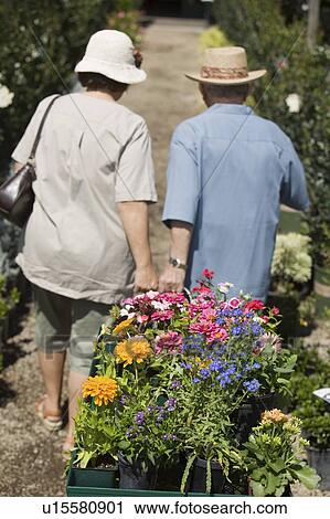 Stock Image - Senior Couple walking in plant nursery pulling cart of flowers, back view. Fotosearch
