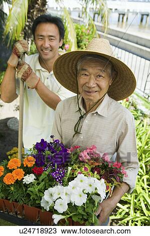 Stock Image - Senior man and son gardening, (portrait). Fotosearch
