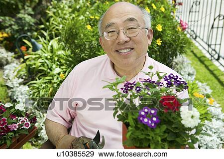 Senior man gardening, (portrait) View Large Photo Image Stock Photo - Senior man gardening, (portrait). Fotosearch