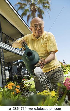 Picture - Senior man watering plants in garden, (low angle view). Fotosearch