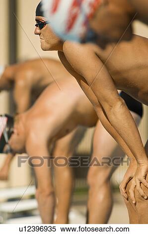Swimmers Lined Up at Starting Blocks View Large Photo Image Stock Photography - Swimmers Lined Up at Starting Blocks. Fotosearch