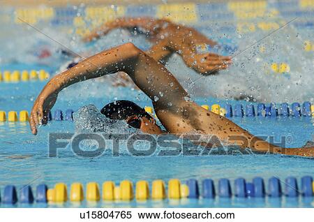 Swimmers Racing View Large Photo Image Stock Photography - Swimmers Racing. Fotosearch