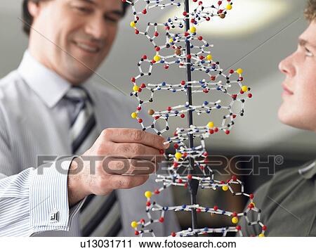 Stock Image - Teacher looking at student's DNA model, close up. Fotosearch