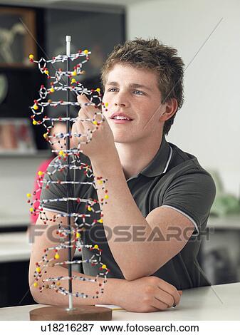 Stock Photo - Teenage boy working on DNA model in science class. Fotosearch