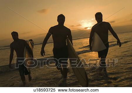 Three surfers carrying surfboards out of surf at sunset View Large Photo Image Stock Photography - Three surfers carrying surfboards out of surf at sunset. Fotosearch