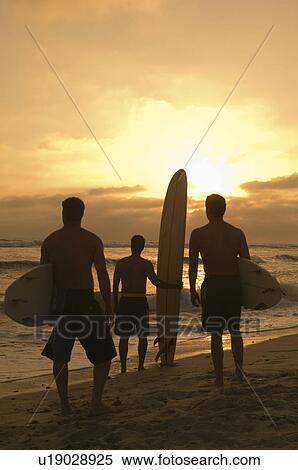 Stock Photography - Three surfers standing on beach, holding surfboards, watching sunset, back view. Fotosearch