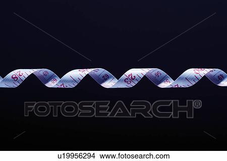 Twisted strip of measuring tape, detail View Large Photo Image Picture - Twisted strip of measuring tape, detail. Fotosearch