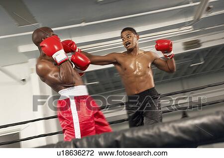 Stock Image - Two boxers fighting in ring. Fotosearch