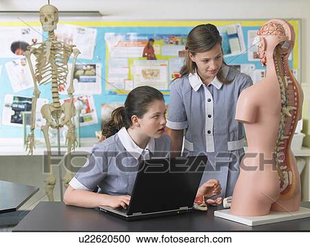 Stock Image - Two high school students looking at anatomical model in biology classroom. Fotosearch