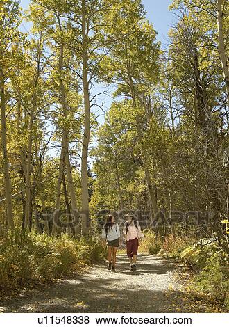 Two hikers on woodland path View Large Photo Image Stock Photo - Two hikers on woodland path. Fotosearch