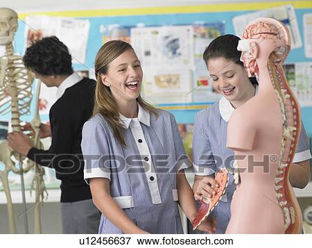 Stock Photo - Two laughing high school students holding part of anatomical model, in classroom. Fotosearch