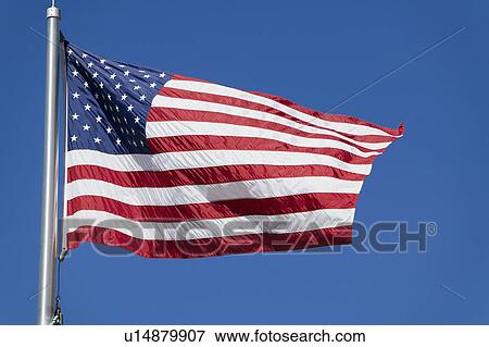 Stock Photo - United States flag flapping against clear sky, (low angle view). Fotosearch