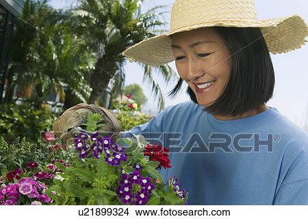 Picture - Woman in straw hat clipping flowers in garden. Fotosearch