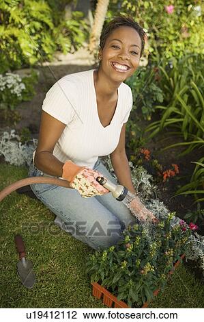 Stock Image - Woman watering plants in garden, (elevated view). Fotosearch