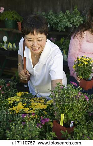 Stock Photo - Women Shopping for Plants in nursery. Fotosearch