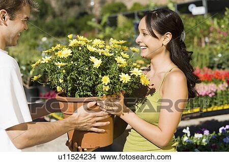 Young couple choosing potted flowers in garden centre View Large Photo Image Picture - Young couple choosing potted flowers in garden centre. Fotosearch