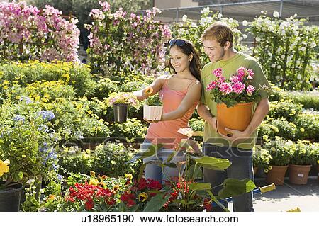 Young couple choosing potted flowers in garden centre View Large Photo Image Stock Image - Young couple choosing potted flowers in garden centre. Fotosearch