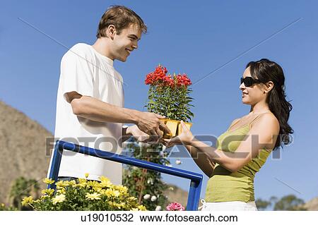 Young couple choosing potted flowers in garden centre, (low angle view) View Large Photo Image Stock Image - Young couple choosing potted flowers in garden centre, (low angle view). Fotosearch