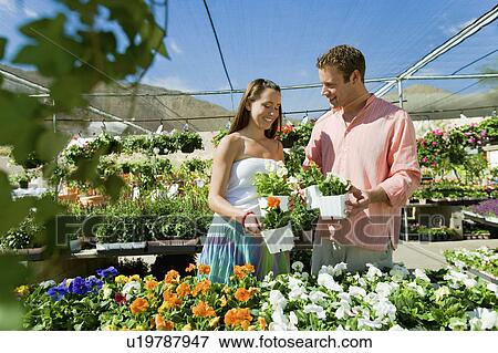Young couple choosing potted flowers in garden centre View Large Photo Image Stock Photo - Young couple choosing potted flowers in garden centre. Fotosearch