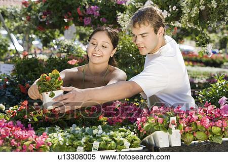 Young couple choosing potted flowers in garden centre View Large Photo Image Stock Photography - Young couple choosing potted flowers in garden centre. Fotosearch