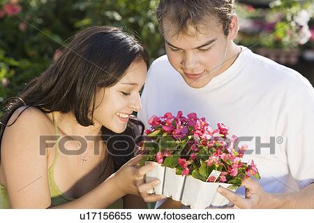 Young couple choosing potted flowers in garden centre View Large Photo Image Stock Photography - Young couple choosing potted flowers in garden centre. Fotosearch