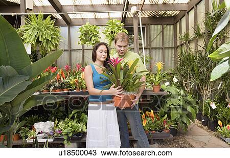 Stock Image - Young couple looking at exotic potted plant in greenhouse. Fotosearch