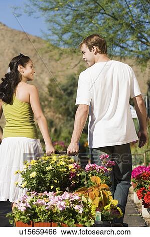 Young couple pulling cart with potted flowers in garden centre, rear view View Large Photo Image Stock Photograph - Young couple pulling cart with potted flowers in garden centre, rear view. Fotosearch