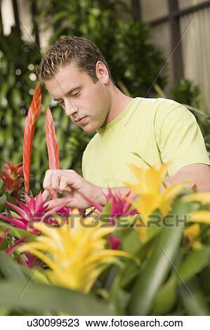 Stock Image - Young man looking at exotic potted plants in greenhouse. Fotosearch