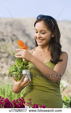 Young woman holding potted plant in garden centre View Large Photo Image Stock Photo - Young woman holding potted plant in garden centre. Fotosearch