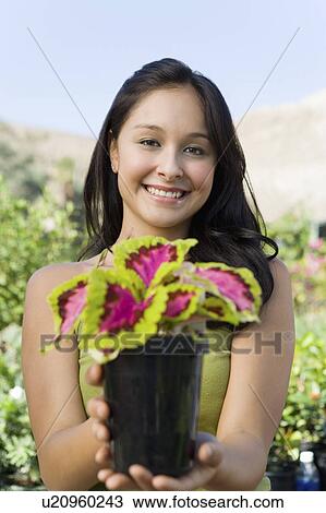Stock Image - Young woman holding potted plant, (portrait). Fotosearch