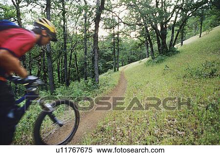Stock Photography - Biker riding on forest trail. Fotosearch