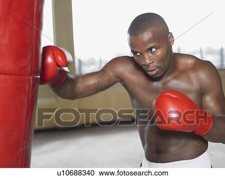 Boxer punching bag, portrait View Large Photo Image Stock Image - Boxer punching bag, portrait. Fotosearch